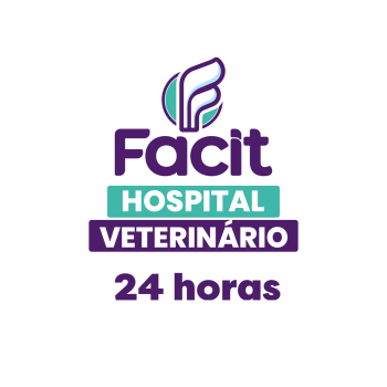 hvp